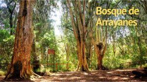 Lugares Turísticos en el Cantón Montúfar - Turismo en el Carchi